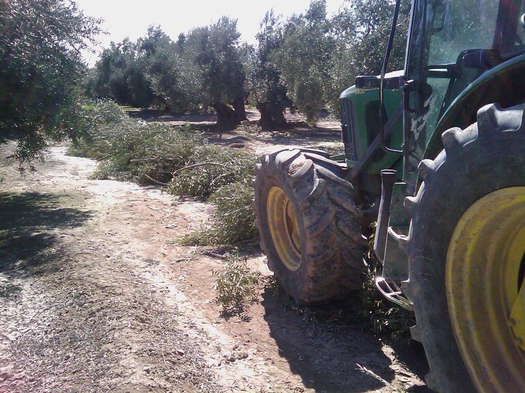 SamaJaén - Servicios Gestion Integral de finca