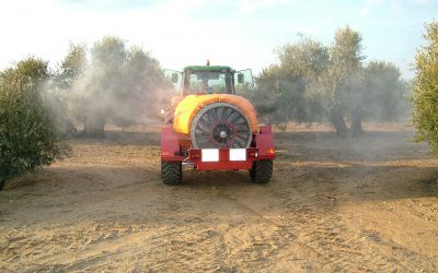 Tratamientos del Olivo después del Invierno